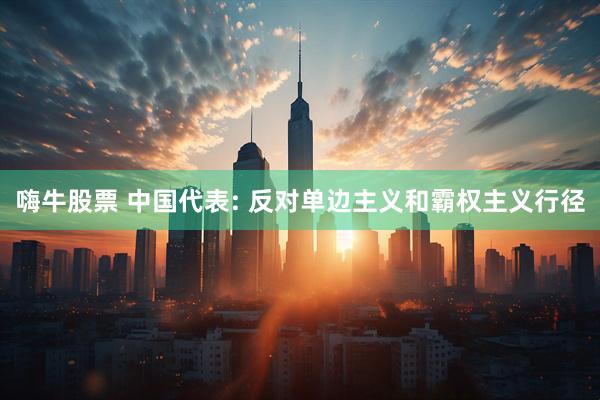 嗨牛股票 中国代表: 反对单边主义和霸权主义行径