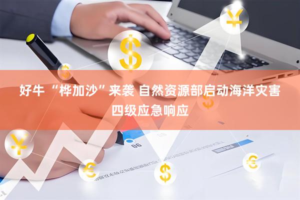 好牛 “桦加沙”来袭 自然资源部启动海洋灾害四级应急响应