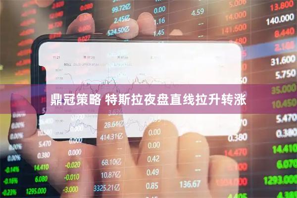 鼎冠策略 特斯拉夜盘直线拉升转涨