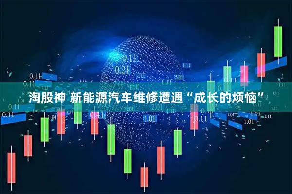淘股神 新能源汽车维修遭遇“成长的烦恼”