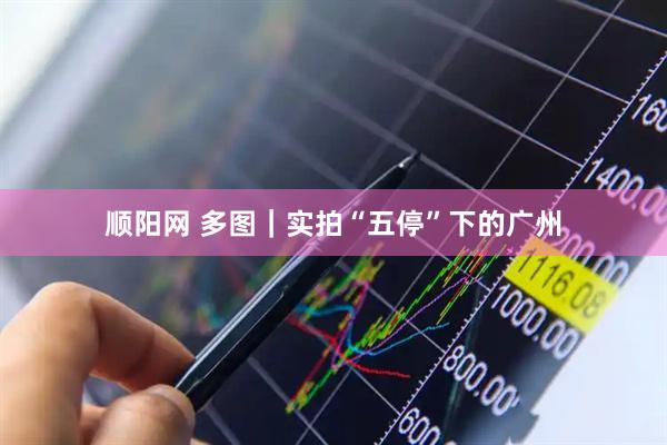 顺阳网 多图｜实拍“五停”下的广州