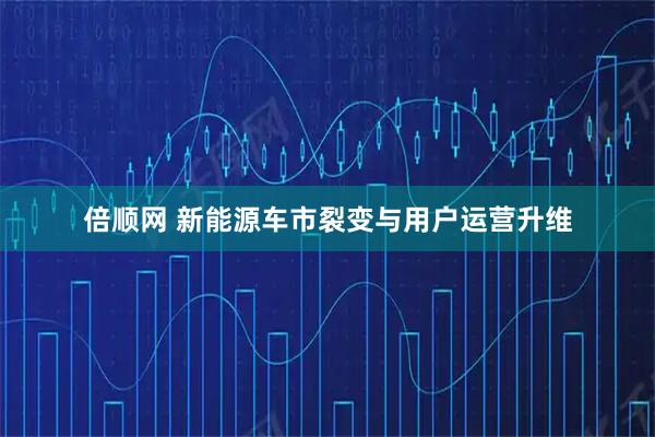 倍顺网 新能源车市裂变与用户运营升维