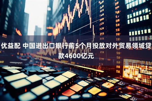 优益配 中国进出口银行前5个月投放对外贸易领域贷款4600亿元