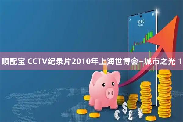 顺配宝 CCTV纪录片2010年上海世博会—城市之光 1